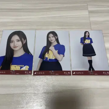 이노우에 카즈 브로마이드 전집 2025 홋카이도 T 컴프