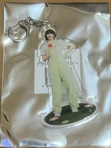 노기자카46 NOGI CAFE 2025 나카니시 아르노 키링