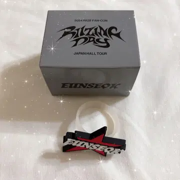 RIIZE 은석 팬 라이트 액세서리 응원봉 액세서리