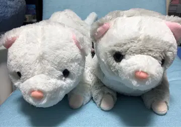 쿠타리 롱 페렛 화이트, 그레이 2개