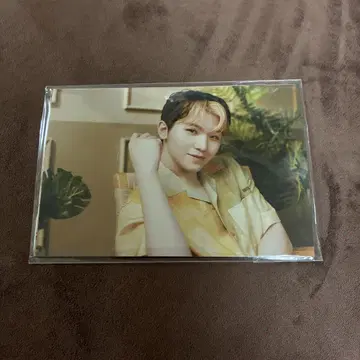 SEVENTEEN 우지 세부치 카페 엽서 세트