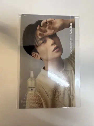 Laline 스티커 REI 원엔 콜라보