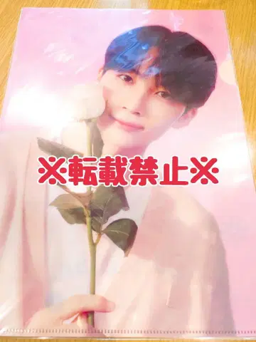 SEVENTEEN 세부치 정한 클리어 파일 HANABI