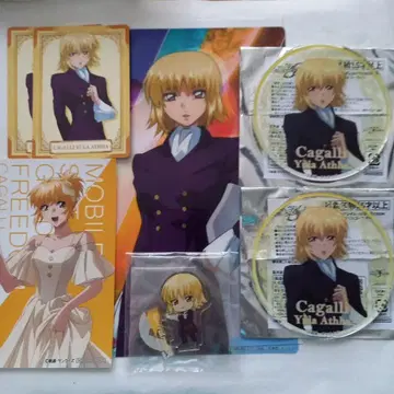 건담 SEED FREEDOM 카가리