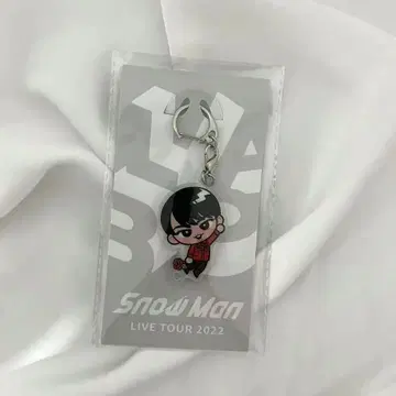 SnowMan 미야타테 료타 스노우 칠 아크릴 키링