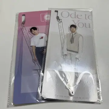 SEVENTEEN 원우 아크릴 스틱