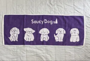 Saucy Dog 타월