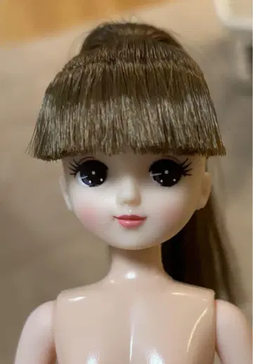 리카짱 캐슬 키라짱 오타노시미 인형