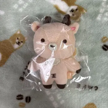 RIIZE 성찬 봉제 인형