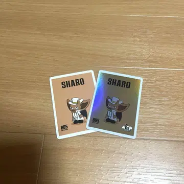 bb5 트레이딩 카드 SHARO 킬러 카드 노멀 카드