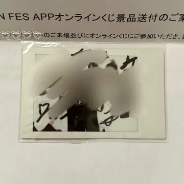 EVNNE 친필 사인 폴라로이드