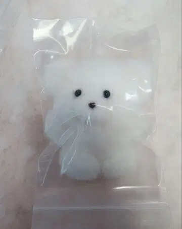 메이리 파라 휘핑짱