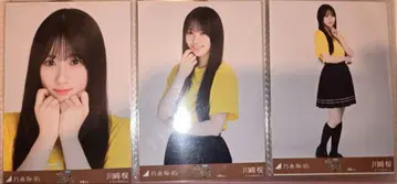 노기자카46 오사카 공연 라이브 티셔츠 도트 가와사키 벚꽃