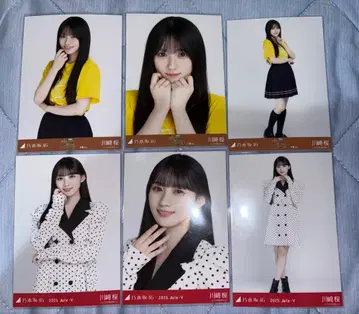 노기자카46 오사카 공연 라이브 티셔츠 도트 가와사키 벚꽃