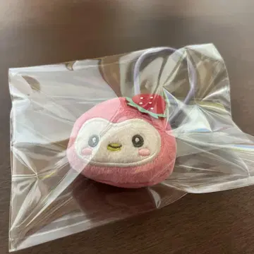 제오참 포포 헤어 밴드