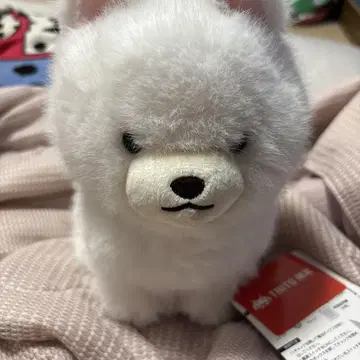 다이토 한정판 빛나는! 게이밍 포메라니안 봉제 인형