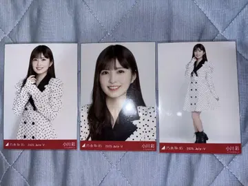 노기자카46 도트 오가와 아야