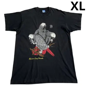 90s USA제 앵무새 티셔츠 XL 블랙 코튼 프룻 오브 더 룸