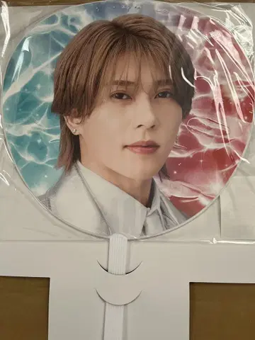 D.N.A 스에자와 세이야 부채