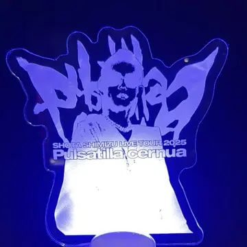 시미즈 쇼타 응원봉 라이브 2025