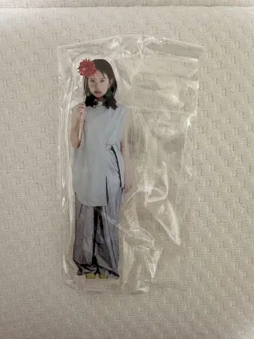하타 메구 2025 아크릴 스탠드