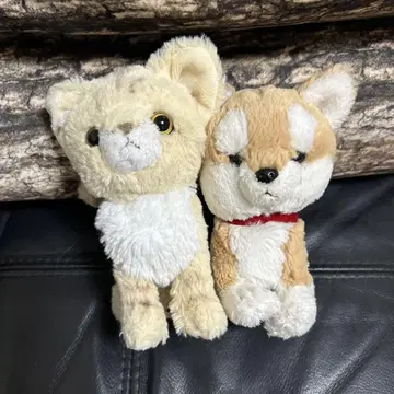 선 레몬 kitten/키톤 봉제 인형 스나네코 시바견