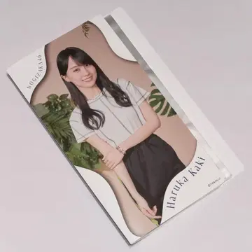 카키 하야카 사진 앨범 한여름의 전국 투어 2024 브로마이드