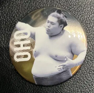 스모 가챠 오오조 나고야 장소 세키토리 전원 집합 캔뱃지