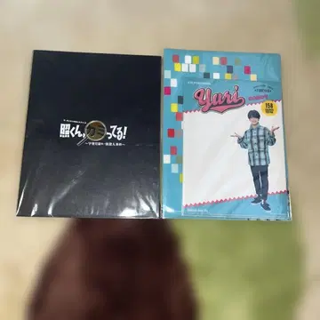 테루군, 머리카락이 삐져나왔어! 굿즈