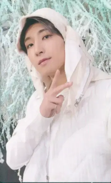 SEVENTEEN SECTOR 17 WONWOO 트레이딩 카드