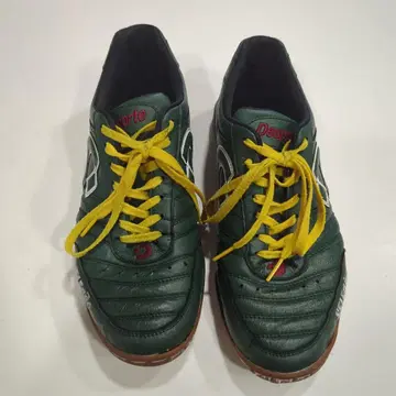 SWS 별주 데스포르치 캄피나스 TF26.5cm