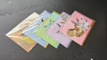 포켓몬 이브이 클리어 파일 5장 세트