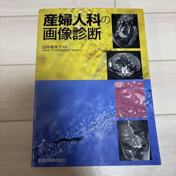 산부인과 이미지 진단