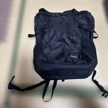 파타고니아 LIGHTWEIGHT TRAVEL TOTE PACK