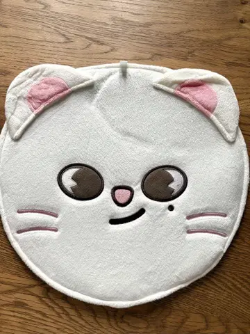 straykids SKZOO 지니 레트 부채 커버