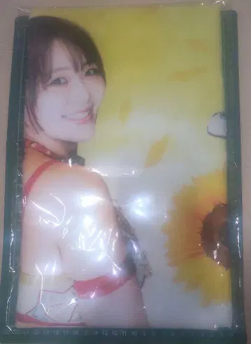 Sareee ISM 혜택 타월 여자 프로레슬링