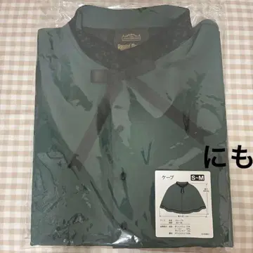 디즈니 호넷 맨션 케이프 캐스트 분장 할로윈