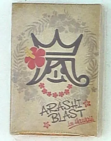 아라시 14년 BLAST in Hawaii 카드놀이