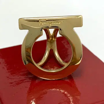 살바토레 페라가모 Ferragamo 스카프링 간치니