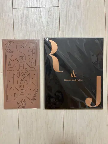 미치에다 슌스케 주연 로미오와 줄리엣 팜플렛 마스크 케이스