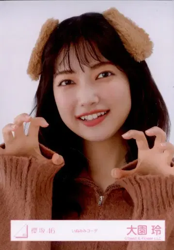 사쿠라자카46 2025년 신년 아이템 오오조노 레이 강아지 귀 코디 요리
