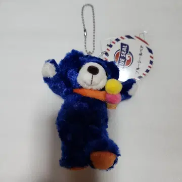 오키나와 블루 씰 베어