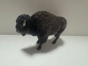 슐라이히 바이슨