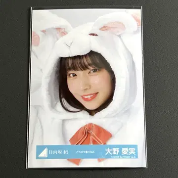 히나타자카46 브로마이드 동물 인형옷 오노 마나미
