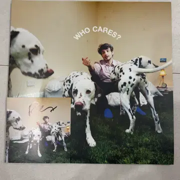 Rex Orange County - Who Cares ? LP & 사인 | CD/DVD/LP | 번개장터
