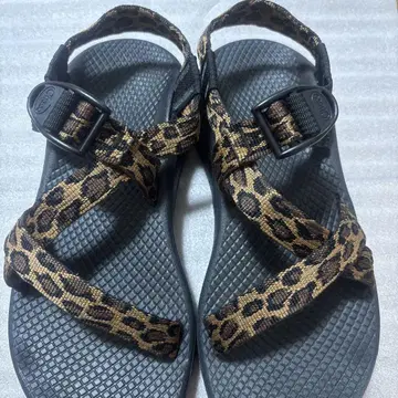 Chaco Z1 CLOUD 빔즈 보이 레오파드 W6 23cm
