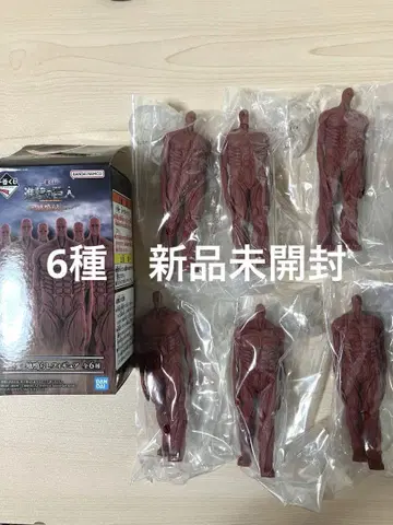 제일복권 진격의 거인 I상 지반정리 피규어 컴프 6개 세트