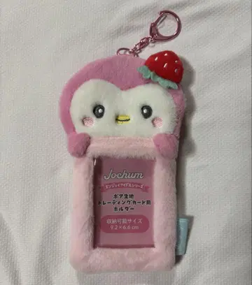 JOCHUM 포포 트레이딩 카드 홀더