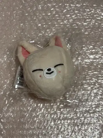 Stray Kids FoxI.Ny 폭시니 백 참