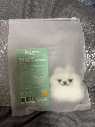 페이스 키링 최용명